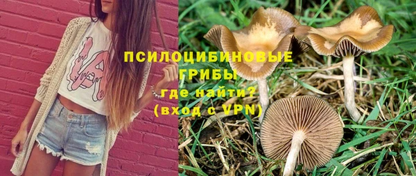 марки lsd Беломорск