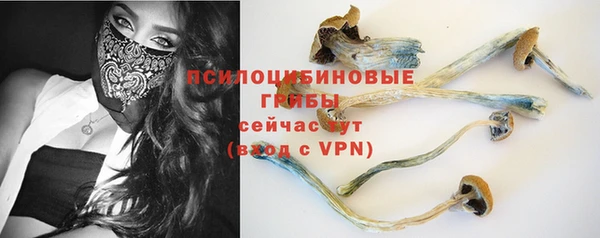 MDMA Белокуриха