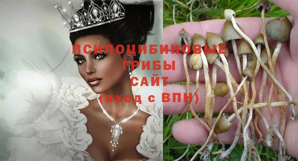 бошки Богородск
