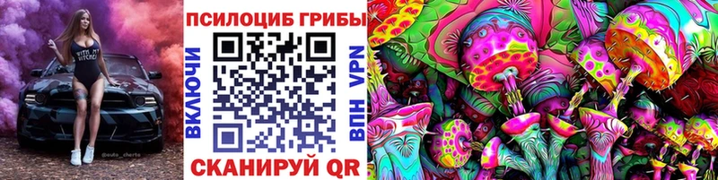 закладка  Минеральные Воды  ОМГ ОМГ   Псилоцибиновые грибы Psilocybe 