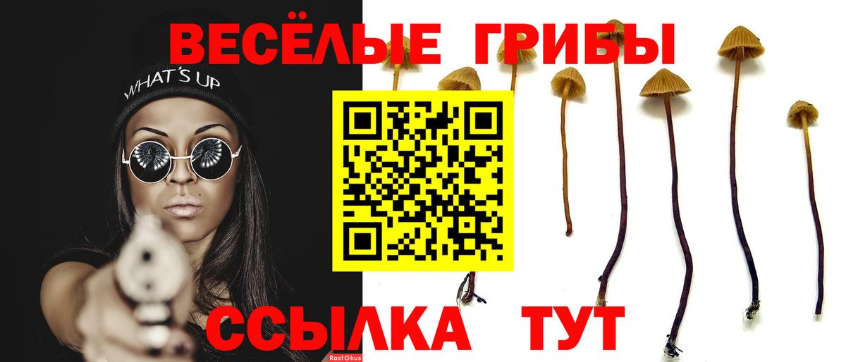 Минеральные Воды  купить наркотики цена  Галлюциногенные грибы Cubensis  Вход с VPN  Псилоцибиновые грибы Magic Shrooms 